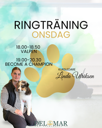 RINGTRÄNINGAR Onsdagen den 20/8
