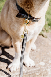 Kentucky Dogwear Hundkoppel Flätad nylon, Längd 120 cm