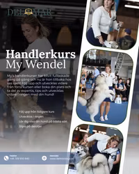 Handlerkurs för My Wendel 21/2 10.00-12.30