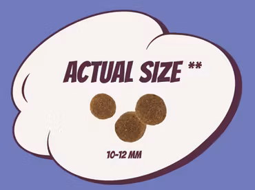 POW KAMPANJ 12kg - Puppy L/XL Pork