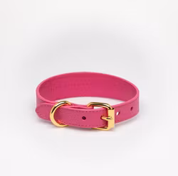 Kopia Collar Of Sweden - Hot Pink Collar