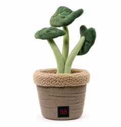 BB - Pawtanic Garden Plant