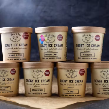 LOR - Doggy Diy Ice Cream Blueberry