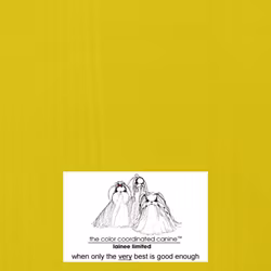 LAINEE - WRAPPING RICE PAPERS  10 X 37,5 YELLOW