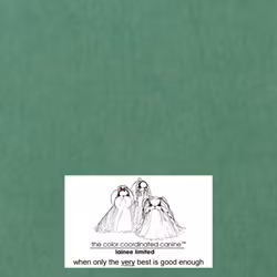 LAINEE - WRAPPING RICE PAPERS  10 X 37,5  GREEN