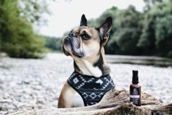 Always Your Friend - First Aid Skin Care Skin Treatment