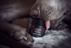 Always Your Friend - Tass & Nos Salva