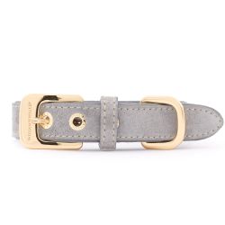 Wiilliam Walker Dog Collar Sea Salt