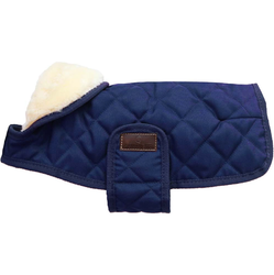 Kentucky Dog Coat Orginal Navy