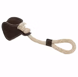 Kentucky Hundleksak Baseball