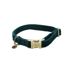 Kentucky Hundhalsband Velvet Emerald