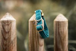 Kentucky Hundhalsband Velvet Emerald