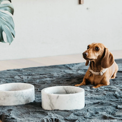 Kentucky Dog Bowl Marble Black