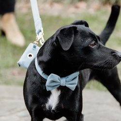 Kentucky Bow Tie Light Blue