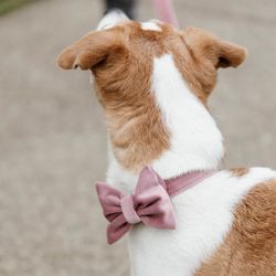 Kentucky Bow Tie Old Rose