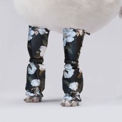 MILLOR DOG - PROTECTORS WHITE ROSES LÅNGA