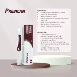 Prebican