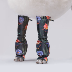 MILLOR DOG - PROTECTORS LILY LÅNGA