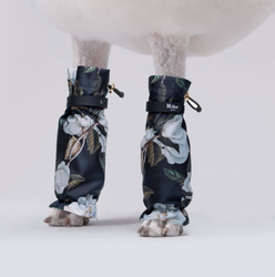 MILLOR DOG - PROTECTORS WHITE ROSES KORTA