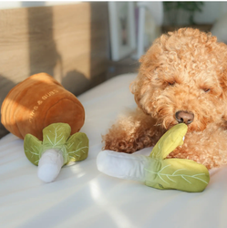 DOGGOTIQUE - PUPS & BUBS SALAD POT