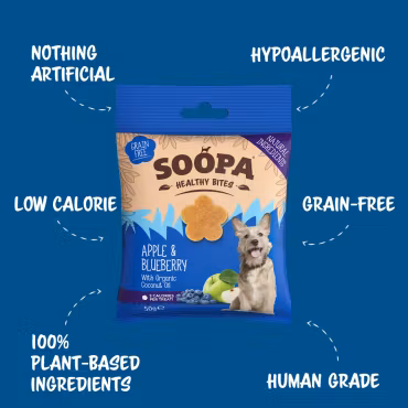 SOOPA Apple & Blueberry Healthy Bites