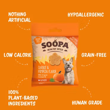 SOOPA Carrot & Pumpkin Healthy Bites