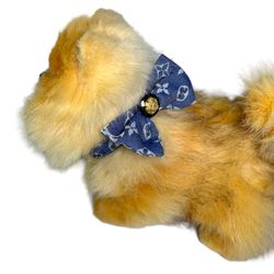 LUXURY PET Halsband med fluga i jeans