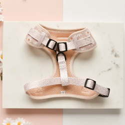 COCOPUP LONDON Luxe Adjustable Neck Harness - We love florals