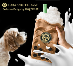 DogNMat  Snuffle Mat