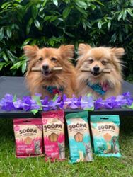 SOOPA Strawberry Dog-Quiri Healthy Bites