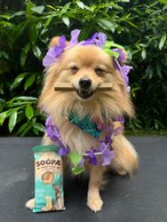 SOOPA Paw-Na Colada Dental Sticks