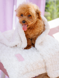 Oh Charlie Charlotte Blanket Cream