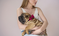 Oh Charlie Bow-tie Glam Amaranth