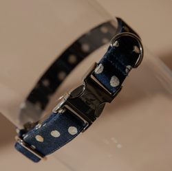 WAGGING TAIL Collar DELPHINUS
