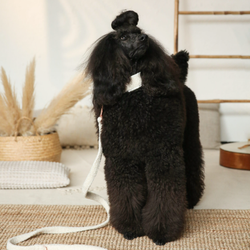 WAGGING TAIL Collar I DO