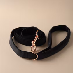 WAGGING TAIL Leash TUXEDO