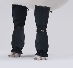 MILLOR DOG - PROTECTORS BLACK LÅNGA