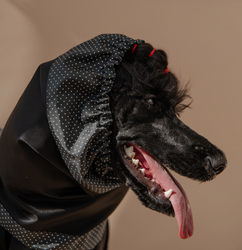 WAGGING TAIL LUVA DOT