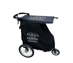 ALWAYS - TROLLEY CASE