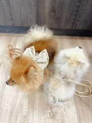 LUXURY PET - Elegant hund/kattsele GG Butterfly