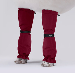 MILLOR DOG - PROTECTORS RED LÅNGA