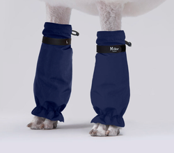 MILLOR DOG - PROTECTORS BLUE KORTA