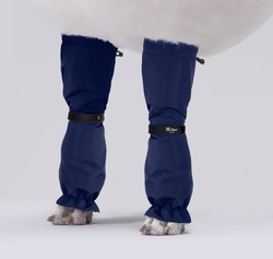 MILLOR DOG - PROTECTORS BLUE LÅNGA