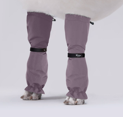 MILLOR DOG - PROTECTORS LILAC LÅNGA