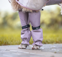 MILLOR DOG - PROTECTORS LILAC LÅNGA