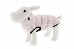 Amico Dunjacka Rosa