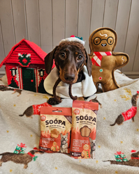 SOOPA Gingerbread Biscuit Healthy Bites