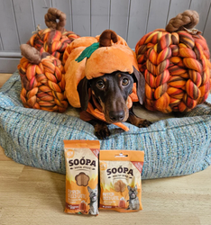 SOOPA Pumpkin Spiced Latte Dental Sticks