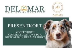 Del Mar PRESENTKORT