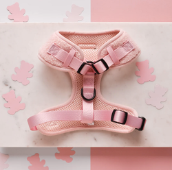 COCOPUP LONDON Love-a-Lot Teddy Adjustable Neck Harness
